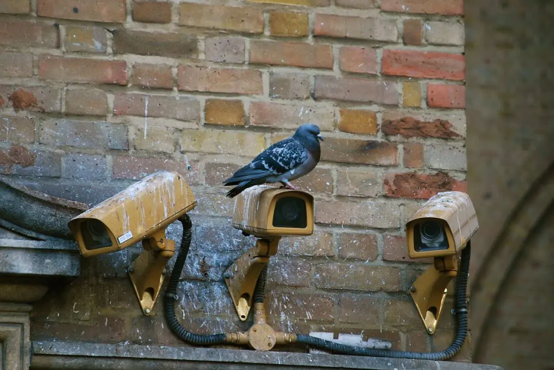 CCTV camera review image