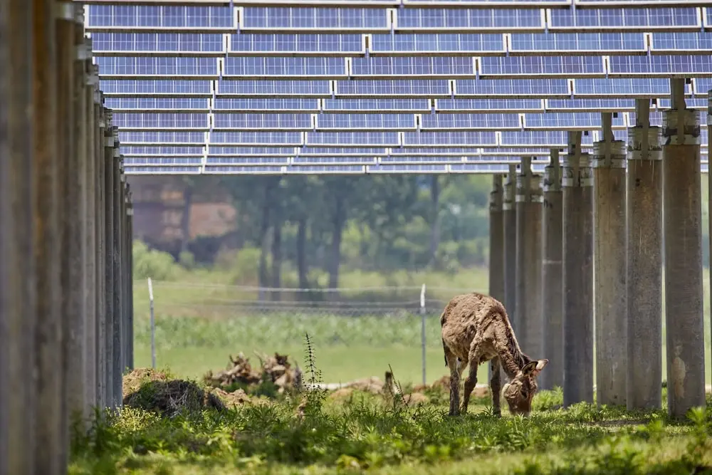Solar Farm CCTV False Alarms
