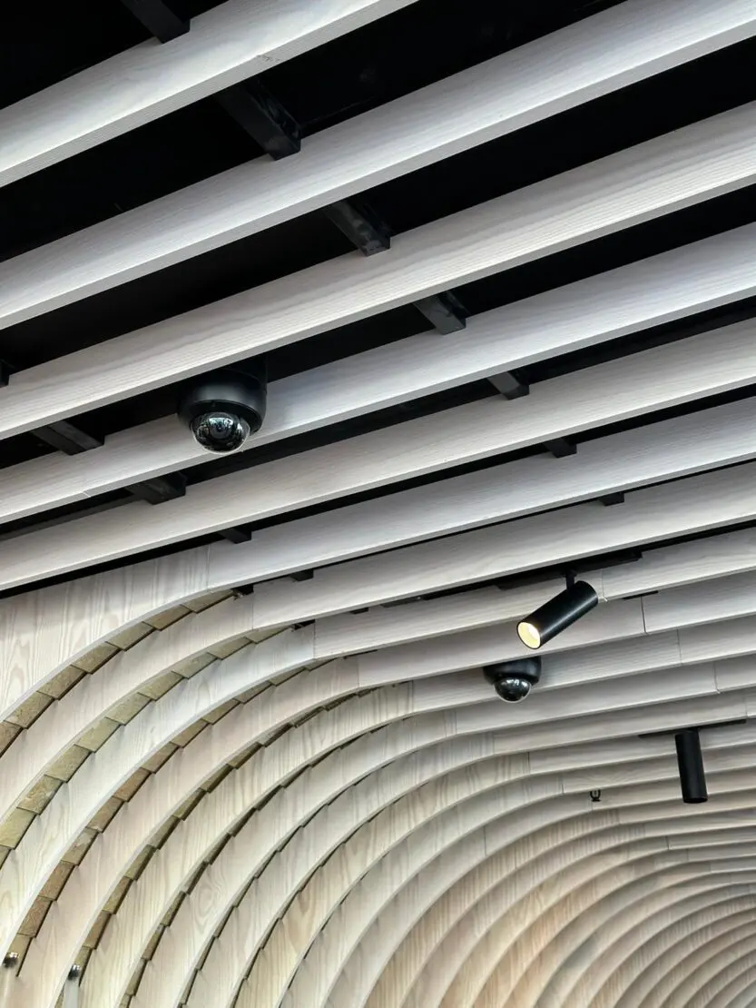 colur matched cctv camera internal surveillance