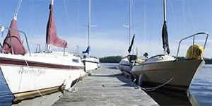 Marine security systems for marinas and yachts